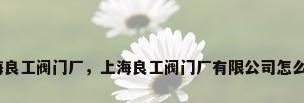 上海良工阀门厂，上海良工阀门厂有限公司怎么样？