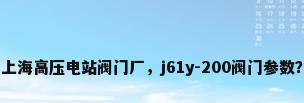上海高压电站阀门厂，j61y-200阀门参数？