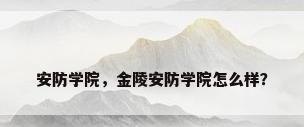 安防学院，金陵安防学院怎么样？