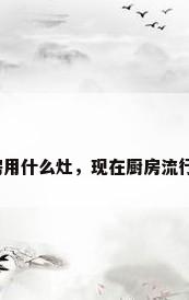 装修厨房用什么灶，现在厨房流行哪种灶？