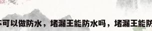 堵漏王可不可以做防水，堵漏王能防水吗，堵漏王能防水吗知识？