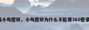 下载小鸟壁纸，小鸟壁纸为什么不能用360登录了？