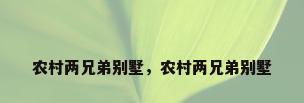 农村两兄弟别墅，农村两兄弟别墅