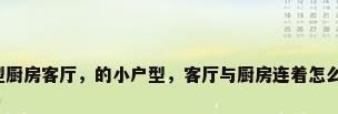 小户型厨房客厅，的小户型，客厅与厨房连着怎么装修？