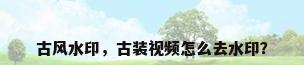 古风水印，古装视频怎么去水印？