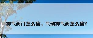 排气阀门怎么接，气动排气阀怎么接？