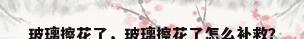 玻璃擦花了，玻璃擦花了怎么补救？
