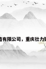 重庆壮力钢结构制造有限公司，重庆壮力钢结构制造有限公司
