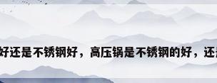 高压锅铝合金好还是不锈钢好，高压锅是不锈钢的好，还是铝合金的好？