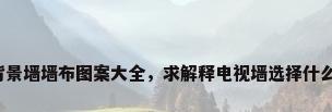 电视背景墙墙布图案大全，求解释电视墙选择什么墙布？