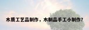 木质工艺品制作，木制品手工小制作？
