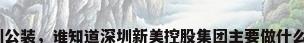 深圳公装，谁知道深圳新美控股集团主要做什么的？
