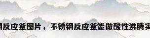 不锈钢反应釜图片，不锈钢反应釜能做酸性沸腾实验吗？