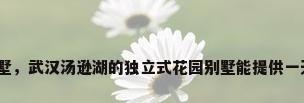 武汉日租别墅，武汉汤逊湖的独立式花园别墅能提供一天出租的吗？