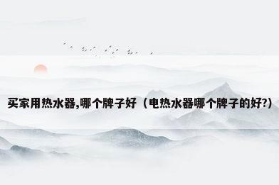 买家用热水器,哪个牌子好（电热水器哪个牌子的好?）