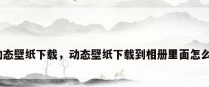 相册动态壁纸下载，动态壁纸下载到相册里面怎么使用？