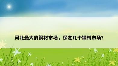 河北最大的钢材市场，保定几个钢材市场？