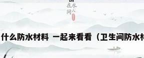厕所墙面用什么防水材料 一起来看看（卫生间防水材料有哪些）