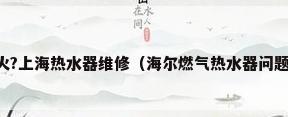 海尔燃气热水器不点火?上海热水器维修（海尔燃气热水器问题举例 常见故障维修方法）