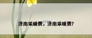 济南采暖费，济南采暖费？