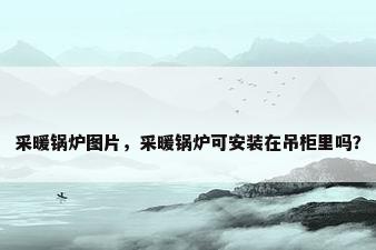 采暖锅炉图片，采暖锅炉可安装在吊柜里吗？