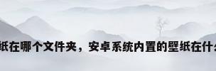 安卓壁纸在哪个文件夹，安卓系统内置的壁纸在什么位置？