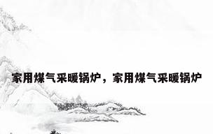 家用煤气采暖锅炉，家用煤气采暖锅炉