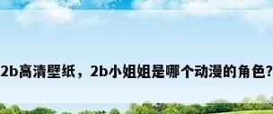 2b高清壁纸，2b小姐姐是哪个动漫的角色？