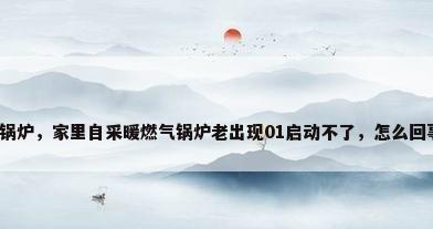 家用自采暖锅炉，家里自采暖燃气锅炉老出现01启动不了，怎么回事，急急急？