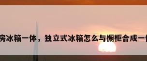 厨房冰箱一体，独立式冰箱怎么与橱柜合成一体？