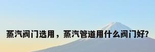 蒸汽阀门选用，蒸汽管道用什么阀门好？