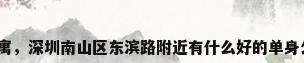 深圳月租公寓，深圳南山区东滨路附近有什么好的单身公寓出租房？