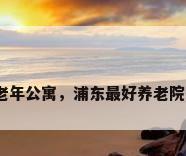 上海老年公寓，浦东最好养老院排名？