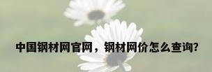 中国钢材网官网，钢材网价怎么查询？