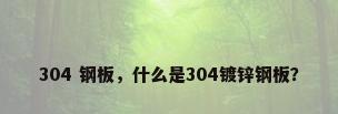 304 钢板，什么是304镀锌钢板？