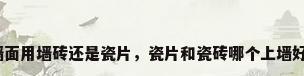墙面用墙砖还是瓷片，瓷片和瓷砖哪个上墙好？