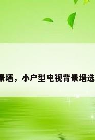 小电视背景墙，小户型电视背景墙选什么材质？