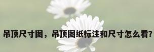 吊顶尺寸图，吊顶图纸标注和尺寸怎么看？