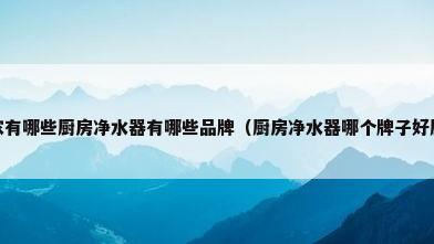 厨房净水器厂家有哪些厨房净水器有哪些品牌（厨房净水器哪个牌子好厨房净水机特点）
