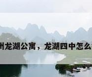 郑州龙湖公寓，龙湖四中怎么样？