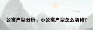 公寓户型分析，小公寓户型怎么装修？