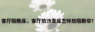 客厅隔断床，客厅放沙发床怎样放隔断帘？