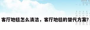 客厅地毯怎么清洁，客厅地毯的替代方案？
