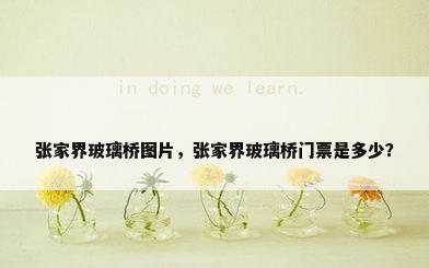 张家界玻璃桥图片，张家界玻璃桥门票是多少？