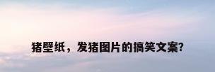 猪壁纸，发猪图片的搞笑文案？