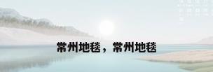 常州地毯，常州地毯