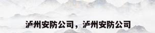 泸州安防公司，泸州安防公司