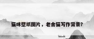 猫咪壁纸图片，老舍猫写作背景？