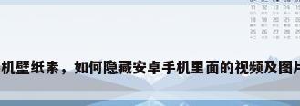 手机壁纸素，如何隐藏安卓手机里面的视频及图片？