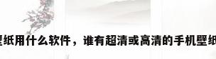 手机壁纸用什么软件，谁有超清或高清的手机壁纸软件？